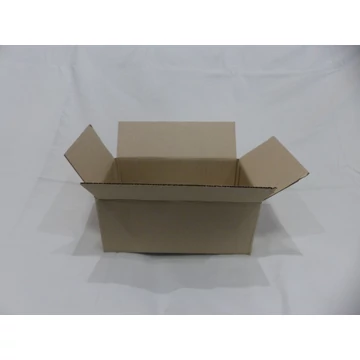 Kartondoboz 255*160*105 mm