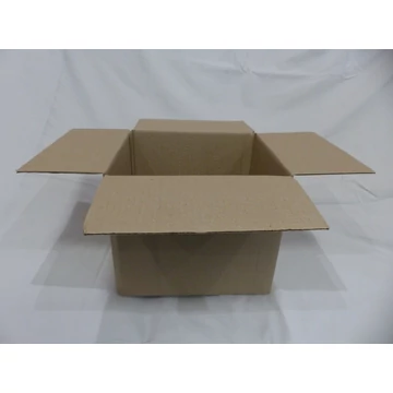 Kartondoboz 255*185*163 mm